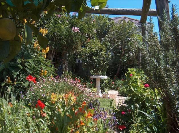 膳宿费 Rachel S Home From Home