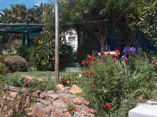 膳宿费 Rachel S Home From Home