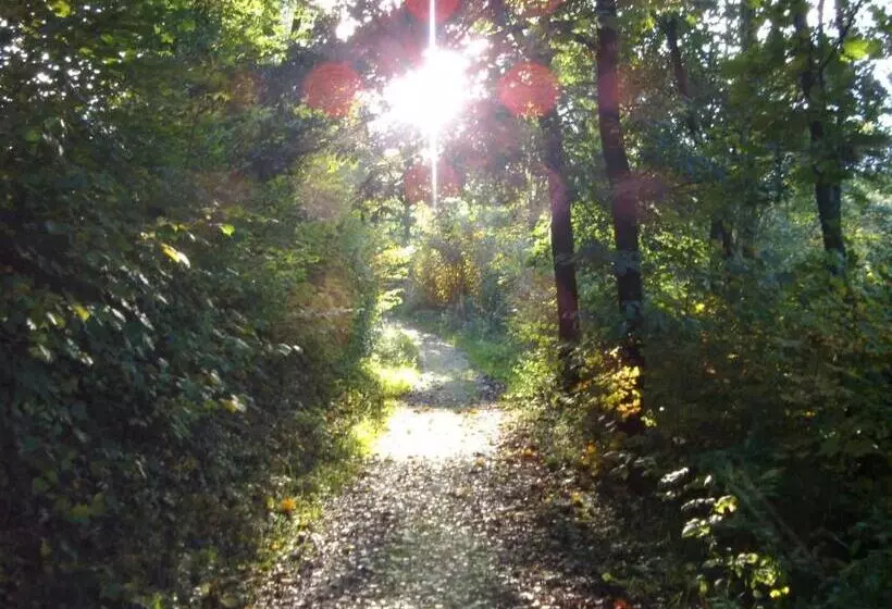 Pension Haus Seidenweber