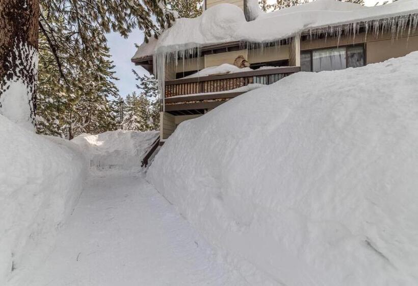 292 Pet Friendly Mammoth Condo Pool Spa