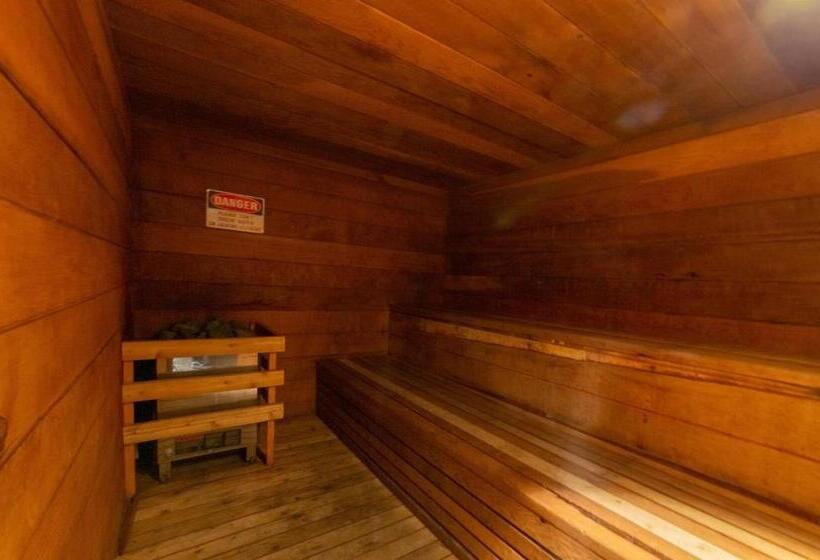 292 Pet Friendly Mammoth Condo Pool Spa