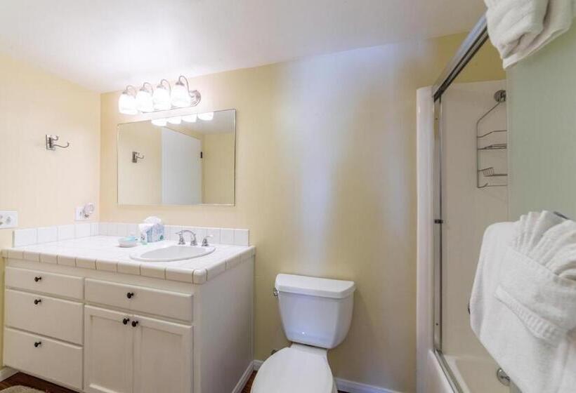 292 Pet Friendly Mammoth Condo Pool Spa