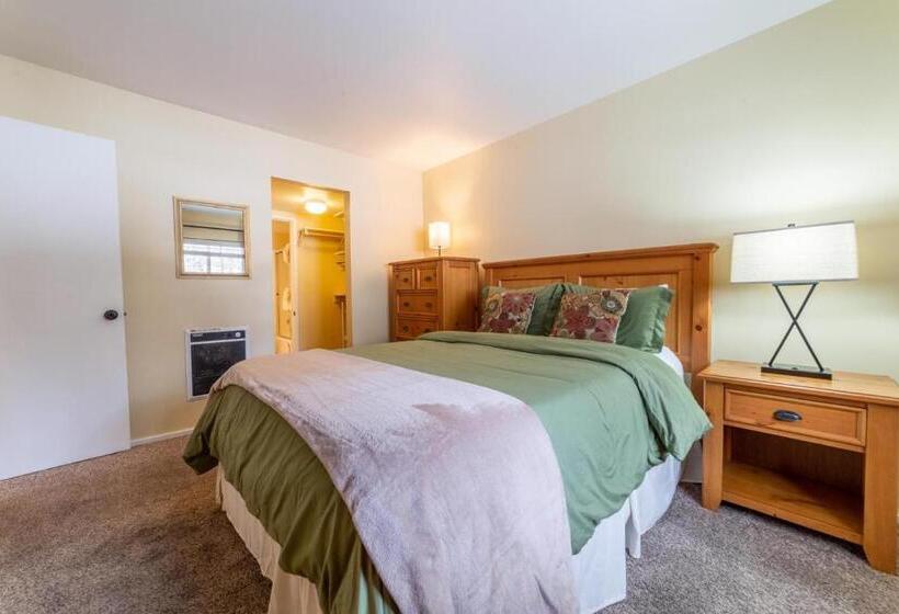 292 Pet Friendly Mammoth Condo Pool Spa