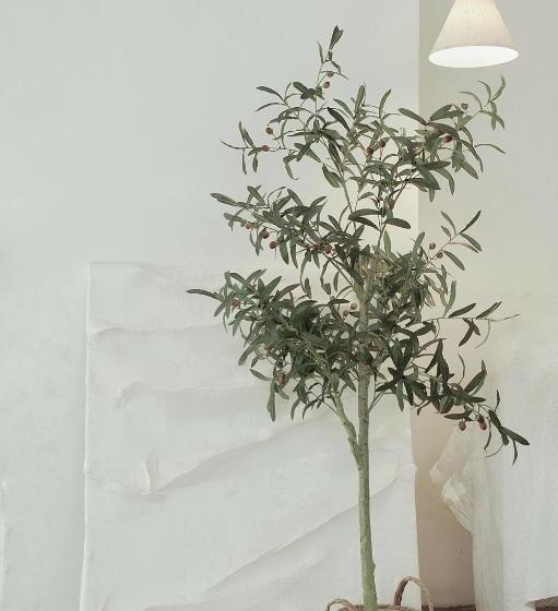 בית מלון כפרי Ruoli Yangshuo