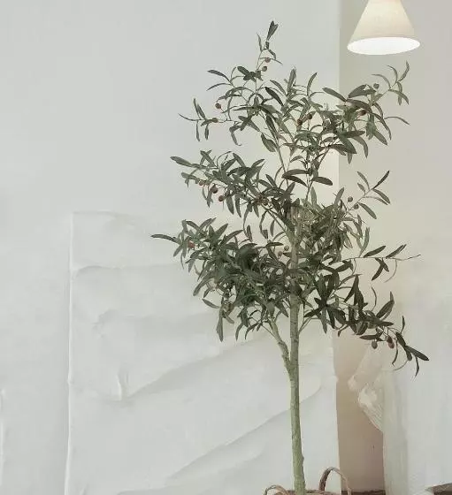 Hotelli Ruoli Yangshuo