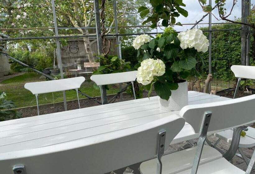 Nyhamnsläge Med Sundsutsikt Och Nära Till Strand