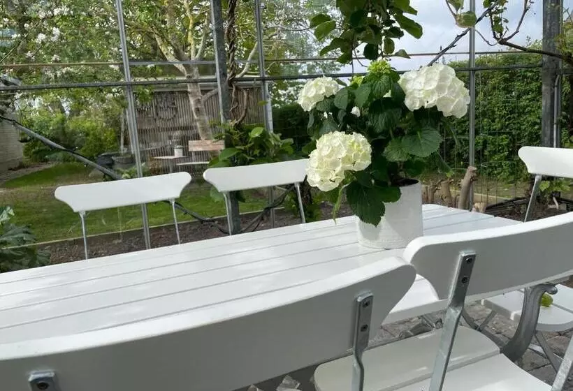 Nyhamnsläge Med Sundsutsikt Och Nära Till Strand