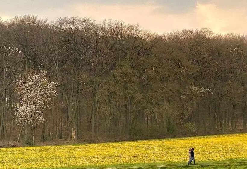 Appartement Osso Arnhem