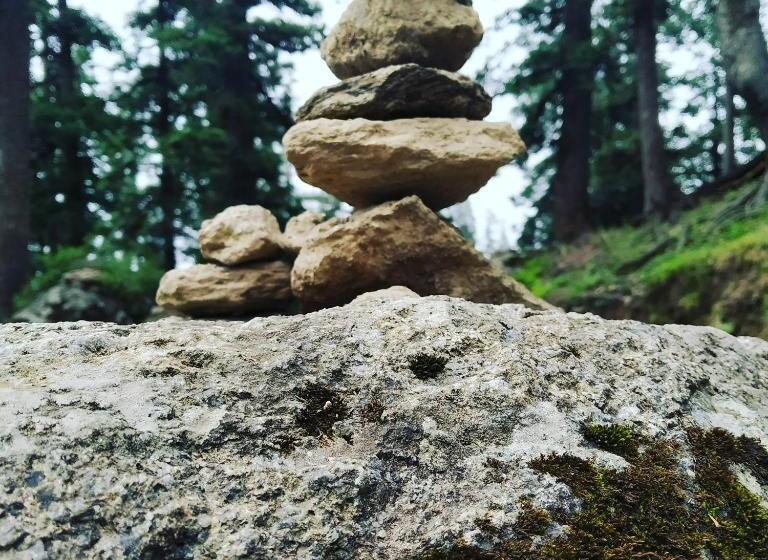 مبيت وإفطار Shimla Pines Homestay