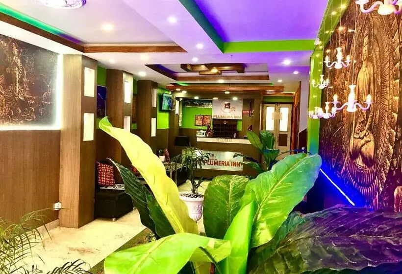 هتل Plumeria Inn