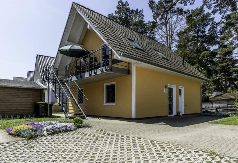 K 67 Eg Ferienwohnung Mit Terrasse Und Sauna