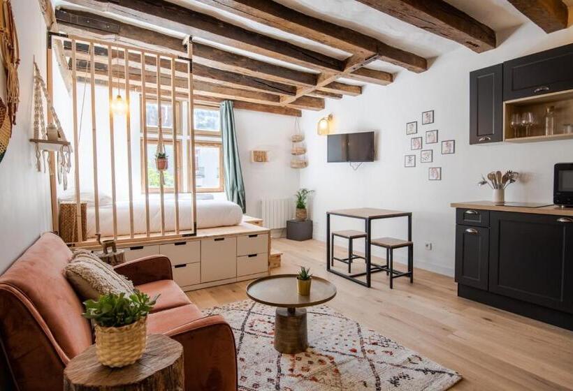 Cocon Du Vieux Tours