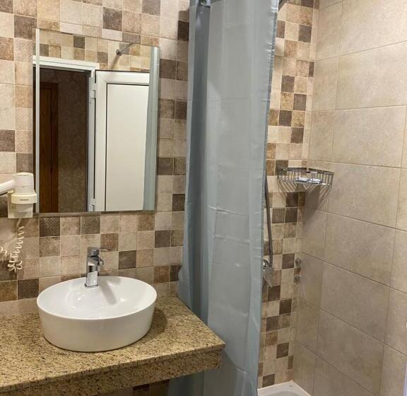 پانسیون еника