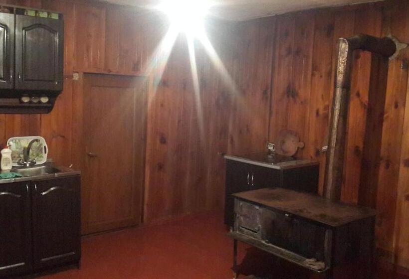 پانسیون Irina Lextagi