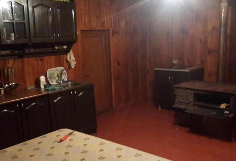 پانسیون Irina Lextagi