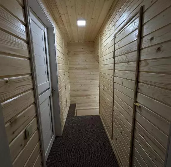 Majatalo карпатська ніч