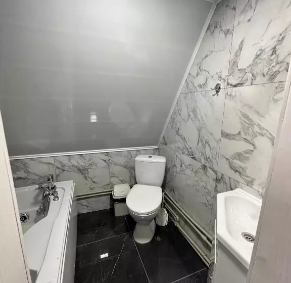 Majatalo карпатська ніч