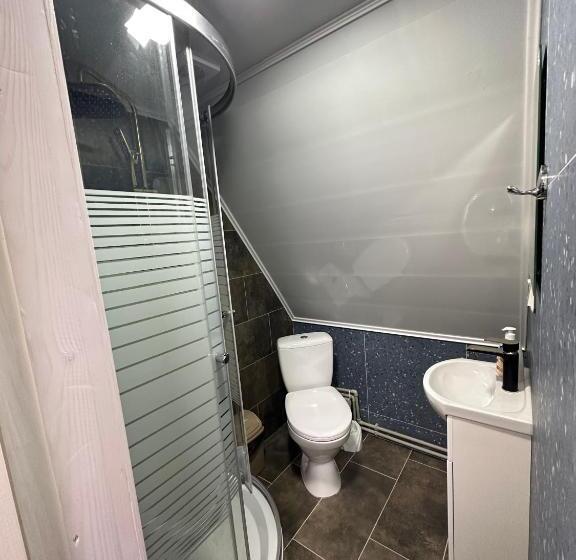 Pensionat карпатська ніч