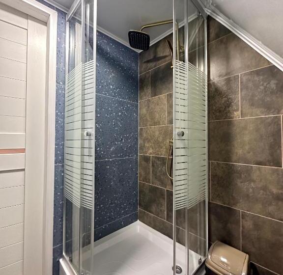 Pensionat карпатська ніч