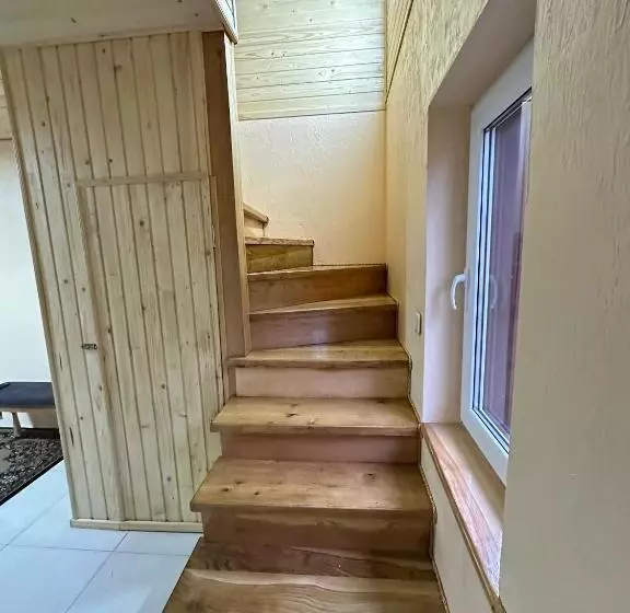 Majatalo карпатська ніч