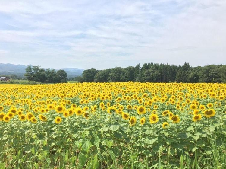펜션 ゲストハウス蘖  ひこばえ