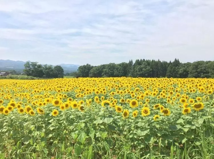 Majatalo ゲストハウス蘖  ひこばえ