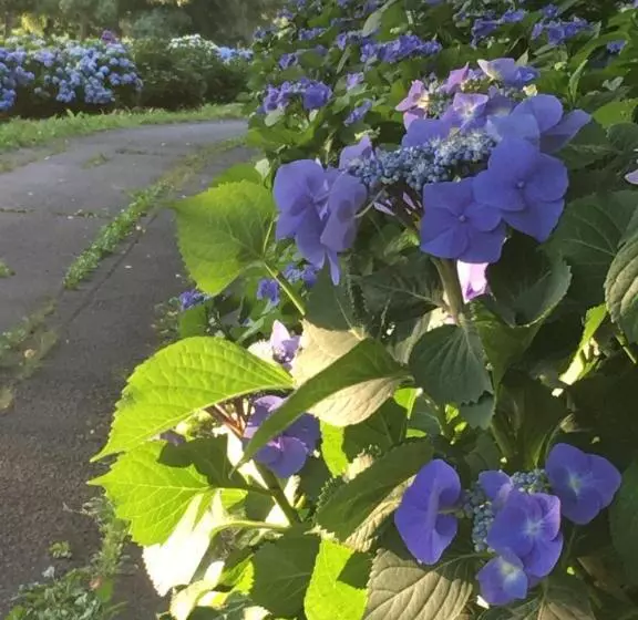 Majatalo ゲストハウス蘖  ひこばえ