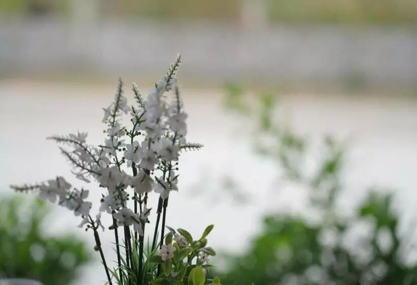 The Charlotte Smart Hotel Lopburi