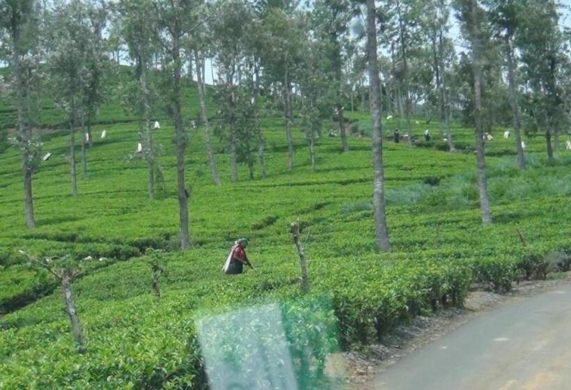 Hotel Punsisi Resort   Adam S Peak