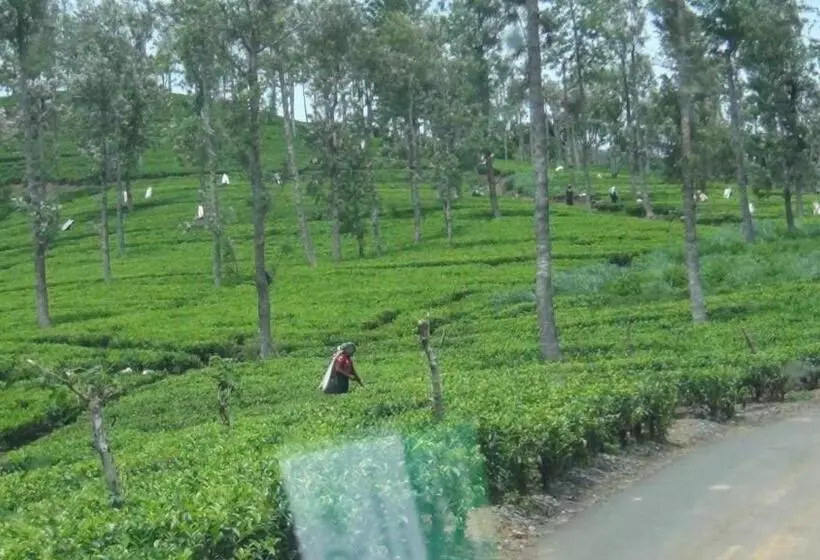 Hotelli Punsisi Resort   Adam S Peak