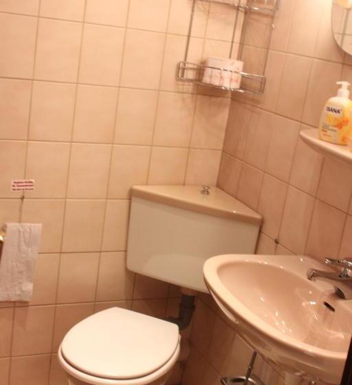 פנסיון Landgasthof Wiesenmühle