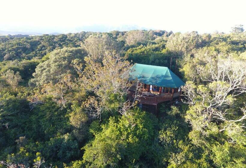 بنسيون Teniqua Treetops