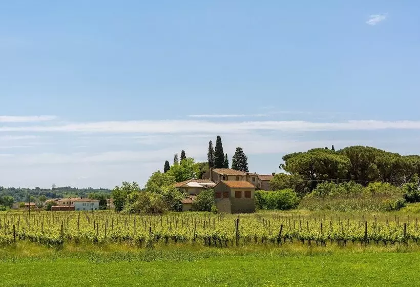 Villa Cerbaie   Happy Rentals