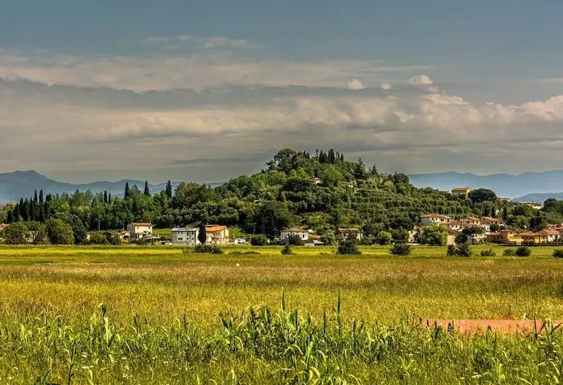 Villa Cerbaie   Happy Rentals