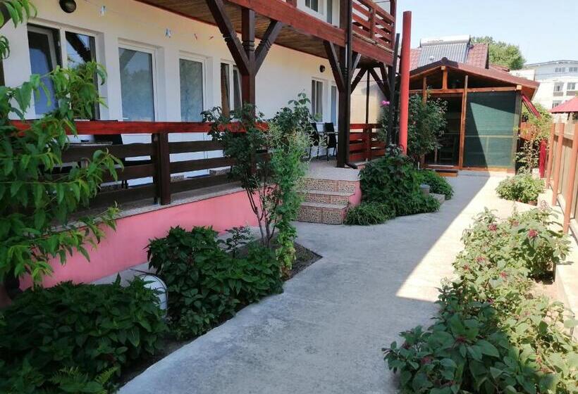 펜션 Casa Steaua De Mare