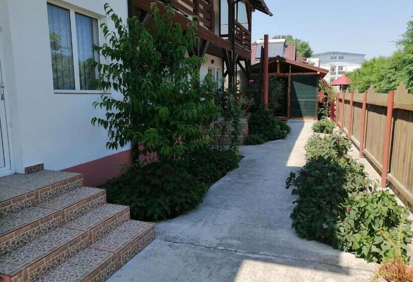 펜션 Casa Steaua De Mare