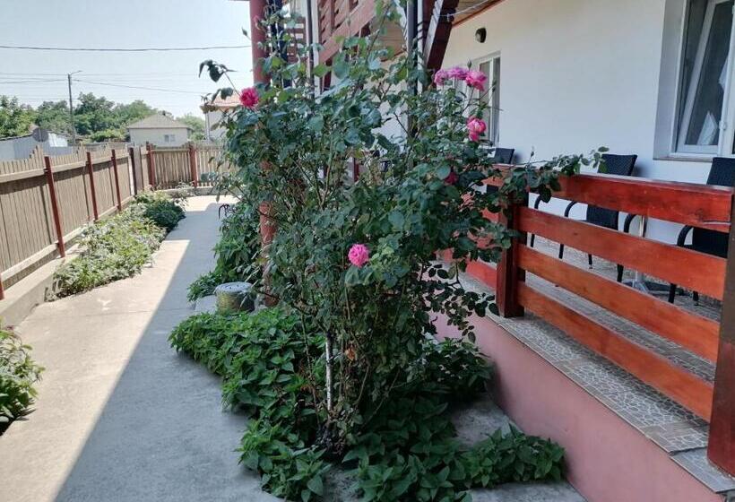 펜션 Casa Steaua De Mare