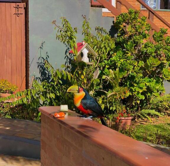 فندق صغير Pousada Palma Chalés