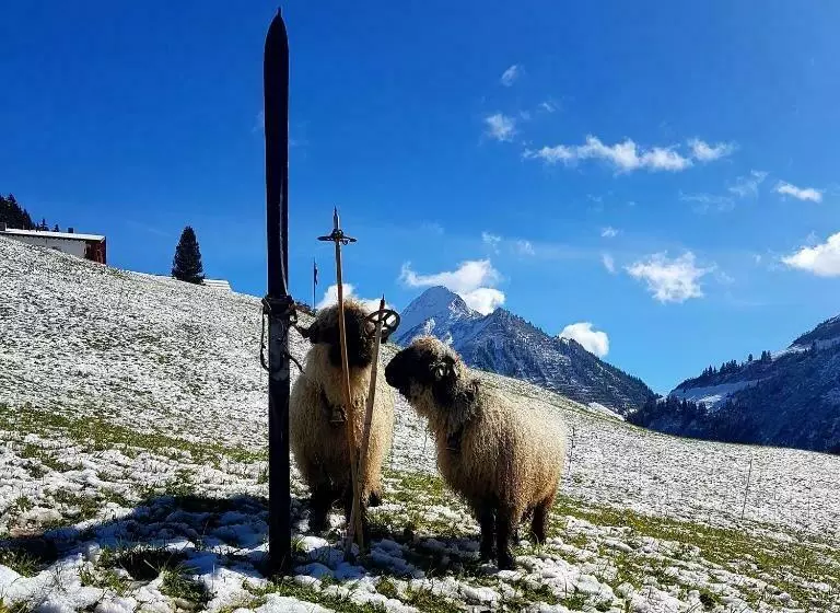 Hotelli Garni Krumbach