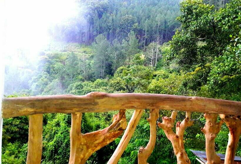 Panzió Green Paradise