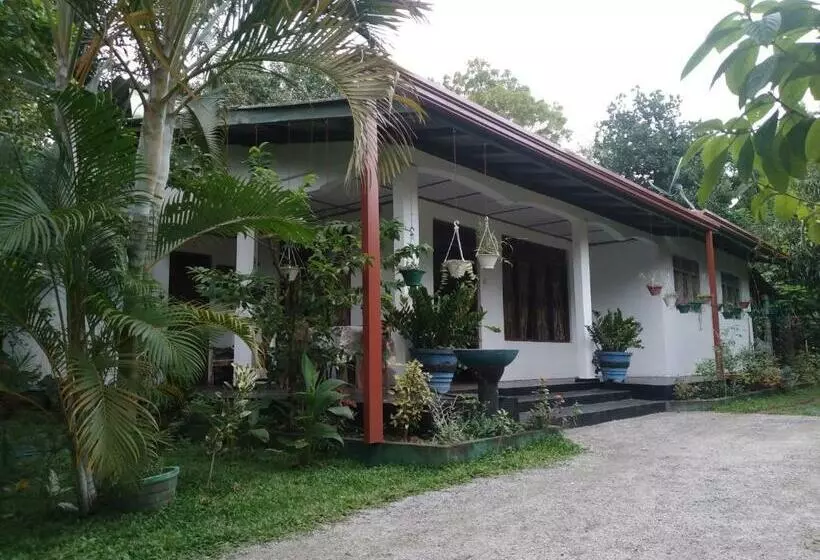 Majatalo Nature Night Homestay
