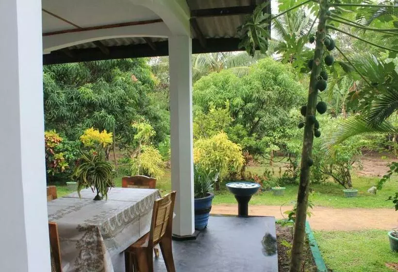 Majatalo Nature Night Homestay