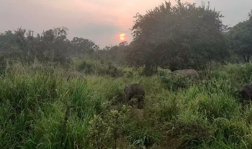 Majatalo Nature Night Homestay