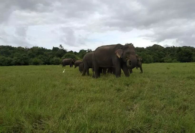 Majatalo Nature Night Homestay