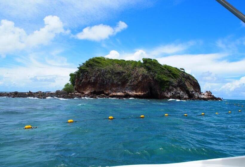 Pensão Runa Group House Samed