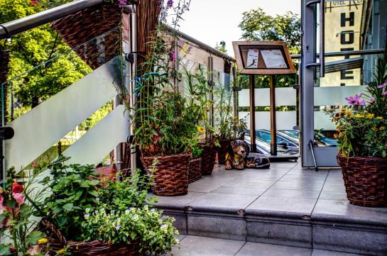 בית מלון כפרי Alpex