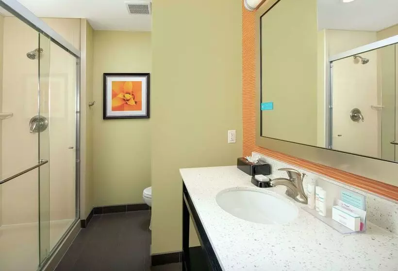 ホテル Hampton Inn & Suites El Paso/east