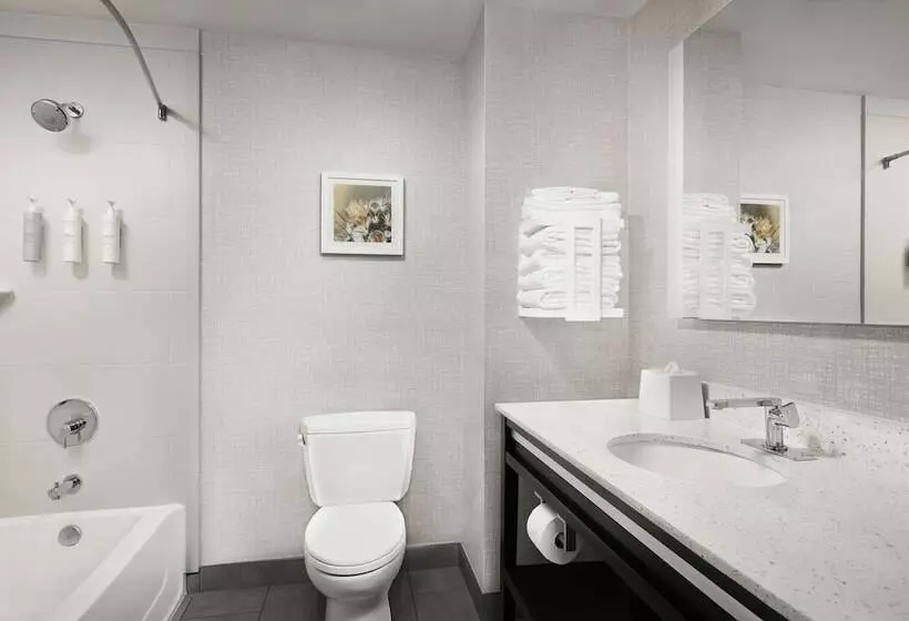 ホテル Hampton Inn & Suites El Paso/east