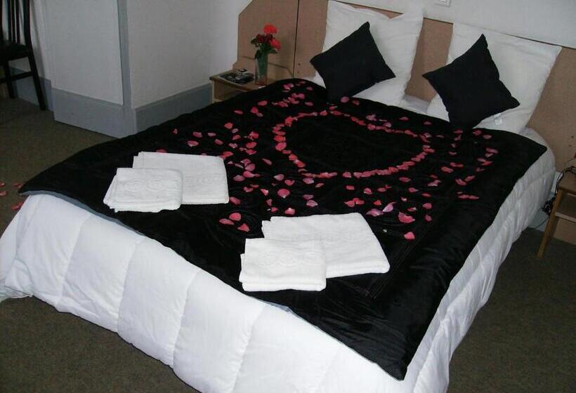 فندق Hôtel Pedussaut