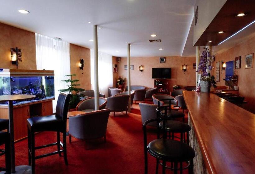 فندق Hôtel Pedussaut